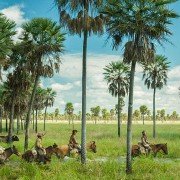 Zama - galeria zdjęć - filmweb