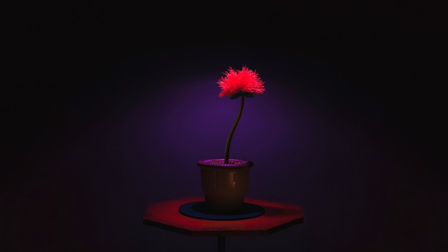 Kwiaty zła (recenzja filmu Kwiat szczęścia)