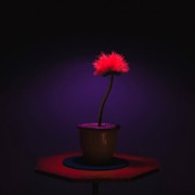 Kwiat szczęścia - galeria zdjęć - filmweb