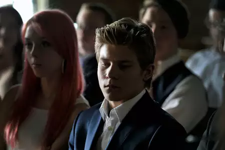 Stado - galeria zdjęć - filmweb