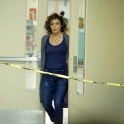 Shades of Blue - galeria zdjęć - filmweb