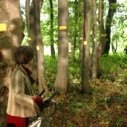 Teah - galeria zdjęć - filmweb