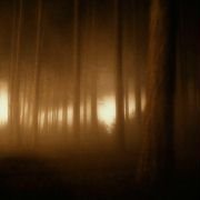 The Wolfman - galeria zdjęć - filmweb