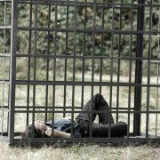 Strange Empire - galeria zdjęć - filmweb
