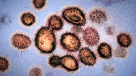 Odcinek 1 Ta pandemia