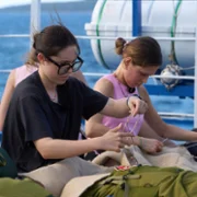 Azja Express - galeria zdjęć - filmweb