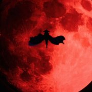 Kage no Jitsuryokusha ni Naritakute! - galeria zdjęć - filmweb