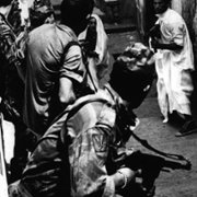 La battaglia di Algeri - galeria zdjęć - filmweb