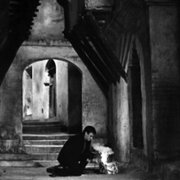 La battaglia di Algeri - galeria zdjęć - filmweb