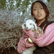 Milarepa - galeria zdjęć - filmweb