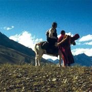 Milarepa - galeria zdjęć - filmweb