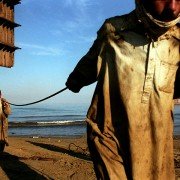 Workingman's Death - galeria zdjęć - filmweb