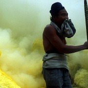 Workingman's Death - galeria zdjęć - filmweb