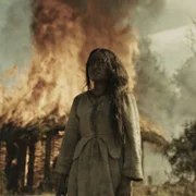 Dziki - galeria zdjęć - filmweb