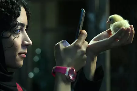 Malaria - galeria zdjęć - filmweb