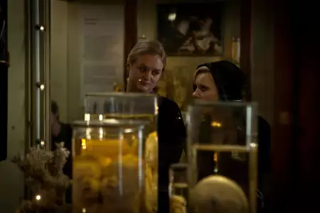 Kokoko - galeria zdjęć - filmweb