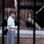 Ludzie-koty - galeria zdjęć - filmweb