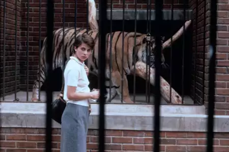 Ludzie-koty - galeria zdjęć - filmweb