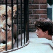 Ludzie-koty - galeria zdjęć - filmweb
