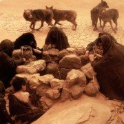 Cat People - galeria zdjęć - filmweb