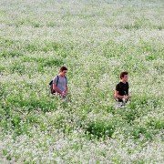 Donne-moi la main - galeria zdjęć - filmweb