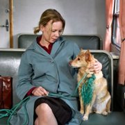 Kuolleet lehdet - galeria zdjęć - filmweb