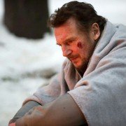 The Grey - galeria zdjęć - filmweb
