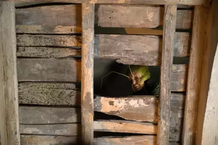Pinokio - galeria zdjęć - filmweb