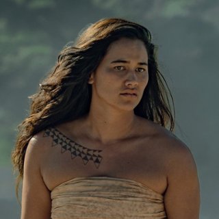 Kupuohi