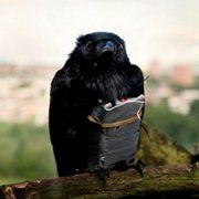 Four Lions - galeria zdjęć - filmweb