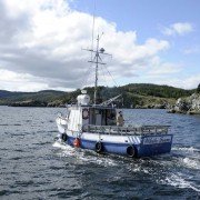 The Grand Seduction - galeria zdjęć - filmweb