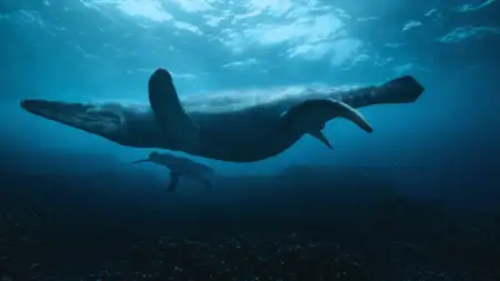 Surviving Earth - galeria zdjęć - filmweb