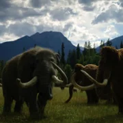Surviving Earth - galeria zdjęć - filmweb