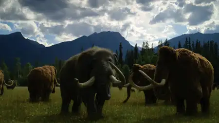 Surviving Earth - galeria zdjęć - filmweb