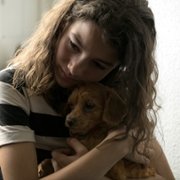 Dziewczynka z Parku Igieł - galeria zdjęć - filmweb
