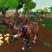 Zoo Tycoon 2: Afrykańskie zwierzaki - galeria zdjęć - filmweb