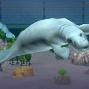 Zoo Tycoon 2: Marine Mania - galeria zdjęć - filmweb