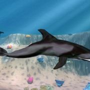 Zoo Tycoon 2: Marine Mania - galeria zdjęć - filmweb