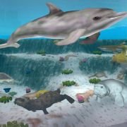 Zoo Tycoon 2: Marine Mania - galeria zdjęć - filmweb