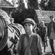 Nabarvené ptáče - galeria zdjęć - filmweb