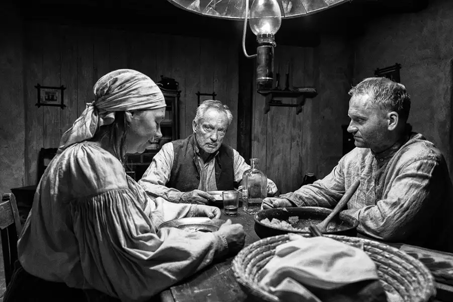 Malowany ptak - galeria zdjęć - filmweb