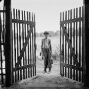 Malowany ptak - galeria zdjęć - filmweb