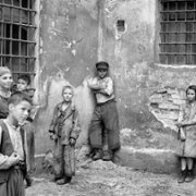 Nabarvené ptáče - galeria zdjęć - filmweb