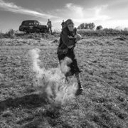 Nabarvené ptáče - galeria zdjęć - filmweb