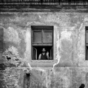 Nabarvené ptáče - galeria zdjęć - filmweb
