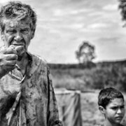 Malowany ptak - galeria zdjęć - filmweb