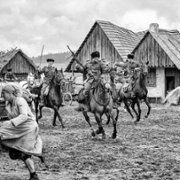 Nabarvené ptáče - galeria zdjęć - filmweb