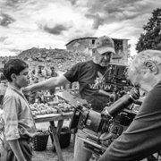 Malowany ptak - galeria zdjęć - filmweb