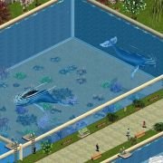 Zoo Tycoon: Marine Mania - galeria zdjęć - filmweb