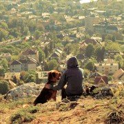Biały Bóg - galeria zdjęć - filmweb